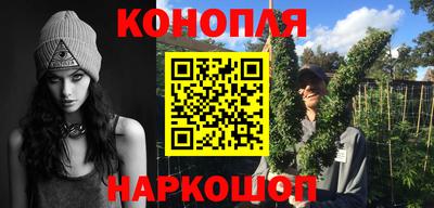 шишки Гулькевичи