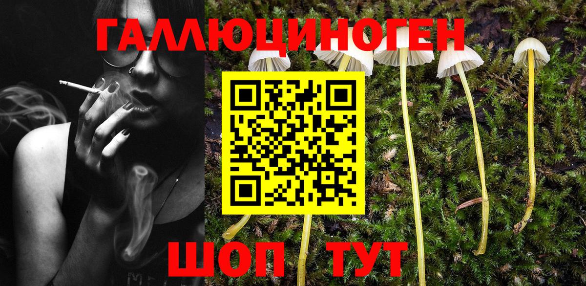Выкса  Псилоцибиновые грибы Psilocybine cubensis  Вход с VPN 